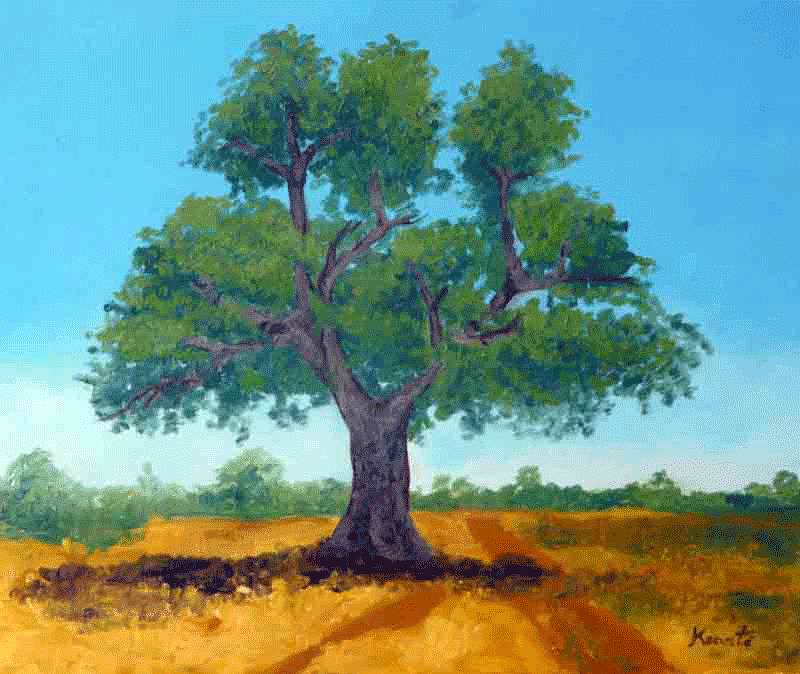 paysage1